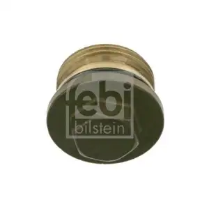 FEBI BILSTEIN 22529 Verschlussschraube für VOLVO FEBI BILSTEIN 22529 Verschlussschraube für VOLVO