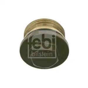 FEBI BILSTEIN 22529 Verschlussschraube für VOLVO FEBI BILSTEIN 22529 Verschlussschraube für VOLVO