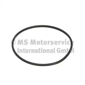PIERBURG 3.32038.02.0 KRAFTSTOFFTANKDICHTUNG für RENAULT, DACIA, SMART, NISSAN PIERBURG 3.32038.02.0 KRAFTSTOFFTANKDICHTUNG für RENAULT, DACIA, SMART, NISSAN