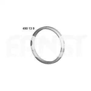 ERNST 490139 Dichtring für BMW ERNST 490139 Dichtring für BMW