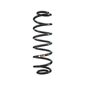 2x Spidan Fahrwerksfeder 86455 Hinterachse Skoda Superb VW Golf