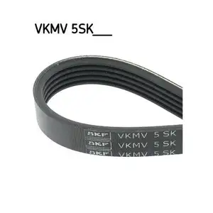 SKF VKMV 5SK595 Keilrippenriemen elastisch SKF VKMV 5SK595 Keilrippenriemen elastisch