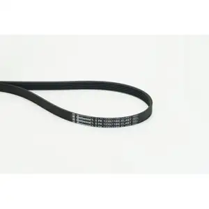 CONTINENTAL CTAM 5PK1230 ELAST Keilrippenriemen CONTINENTAL CTAM 5PK1230 ELAST Keilrippenriemen