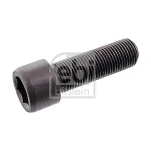FEBI BILSTEIN 101975 Zylinderschraube für MAN FEBI BILSTEIN 101975 Zylinderschraube für MAN