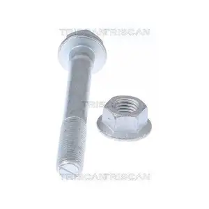 TRISCAN 8500 11418 BOLZENSATZ