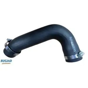 BUGIAD 82173 Ladeluftschlauch für FIAT, LANCIA BUGIAD 82173 Ladeluftschlauch für FIAT, LANCIA