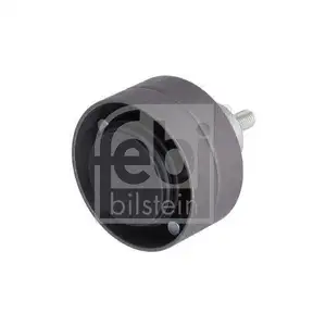 FEBI BILSTEIN 40127 Umlenkrolle f&uuml;r DAF, GINAF