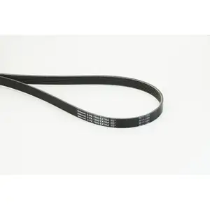 CONTINENTAL CTAM 6PK1390 EXTRA Multi V-Belt CONTINENTAL CTAM 6PK1390 EXTRA Multi V-Belt