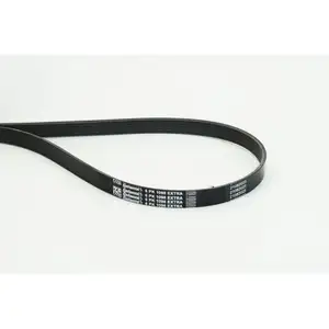 CONTINENTAL CTAM 6PK1098 EXTRA Multi V-Belt CONTINENTAL CTAM 6PK1098 EXTRA Multi V-Belt