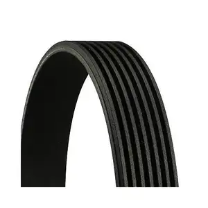 CONTINENTAL CTAM 7PK935 Keilrippenriemen