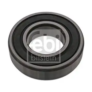 FEBI BILSTEIN 100436 F&uuml;hrungslager f&uuml;r RENAULT, VOLVO