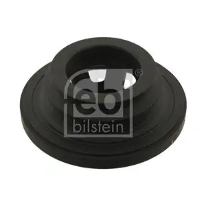 FEBI BILSTEIN 29989 Riemenscheibe (entkoppelt) FEBI BILSTEIN 29989 Riemenscheibe (entkoppelt)