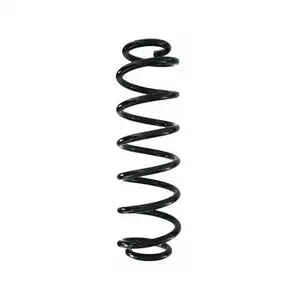2x Spidan Fahrwerksfeder 86864 Hinterachse VW Multivan T5