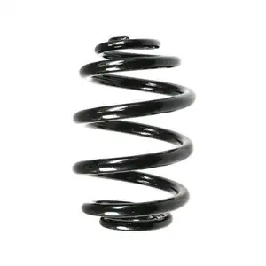 2x Spidan Fahrwerksfeder 55085 Hinterachse BMW 3er E46 2x Spidan Fahrwerksfeder 55085 Hinterachse BMW 3er E46