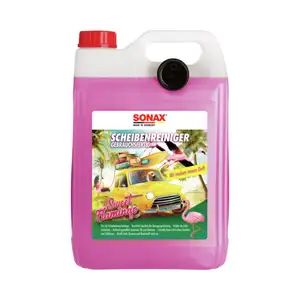 Reiniger Scheibenreinigungsanlage Sonax 03945000 Scheibenreiniger Reiniger Scheibenreinigungsanlage Sonax 03945000 Scheibenreiniger