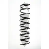 2x Spidan Fahrwerksfeder 49758 Hinterachse BMW 5er E39