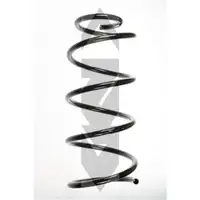 2x Spidan Fahrwerksfeder 85046 Vorderachse Ford Focus II