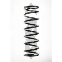 2x Spidan Fahrwerksfeder 55329 Hinterachse Ford Focus