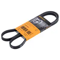 CONTINENTAL CTAM 4PK1217 Keilrippenriemen