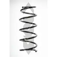 2x Spidan Fahrwerksfeder 56169 Vorderachse Nissan Kubistar Renault Kangoo Rapid
