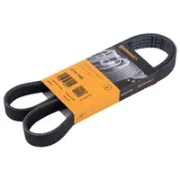 CONTINENTAL CTAM 6PK1165 Keilrippenriemen