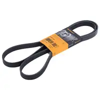 CONTINENTAL CTAM 6PK1743 Keilrippenriemen