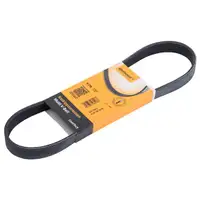 CONTINENTAL CTAM 6PK737 Keilrippenriemen