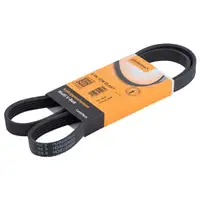 CONTINENTAL CTAM 5PK1236 ELAST Keilrippenriemen