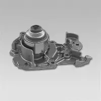 GK 986954 Wasserpumpe für RENAULT, DACIA, NISSAN