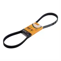 CONTINENTAL CTAM 6PK1100 Keilrippenriemen