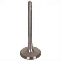 FEBI BILSTEIN 28464 Auslassventil für SKODA, AUDI, VW, SEAT