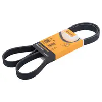 CONTINENTAL CTAM 6PK1448 Keilrippenriemen
