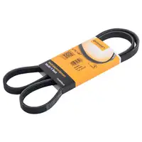 CONTINENTAL CTAM 4PK1267 Keilrippenriemen
