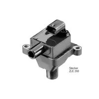 BorgWarner (BERU) ZS309 Zündspule