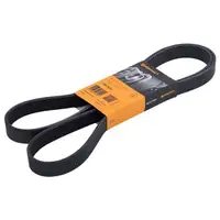 CONTINENTAL CTAM 7PK1675 Keilrippenriemen