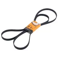 CONTINENTAL CTAM 6PK2490 Keilrippenriemen