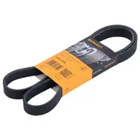CONTINENTAL CTAM 6PK1310 Keilrippenriemen