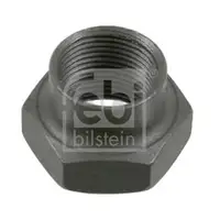 FEBI BILSTEIN 03831 Achsmutter für FORD