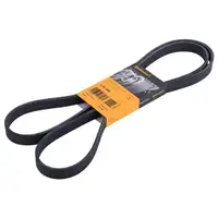 CONTINENTAL CTAM 6PK1885 Keilrippenriemen
