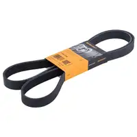 CONTINENTAL CTAM 7PK1730 Keilrippenriemen