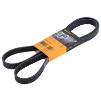 CONTINENTAL CTAM 6PK1670 Keilrippenriemen