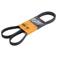 CONTINENTAL CTAM 5PK1570 Keilrippenriemen