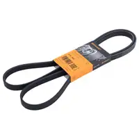 CONTINENTAL CTAM 5PK1800 Keilrippenriemen