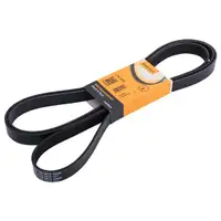 CONTINENTAL CTAM 7PK2875 Keilrippenriemen