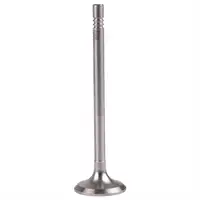 FEBI BILSTEIN 21016 Auslassventil für SKODA, VW, SEAT