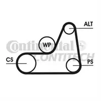 CONTINENTAL CTAM 6PK1042 ELAST T1 Keilrippenriemen Elast + Tool