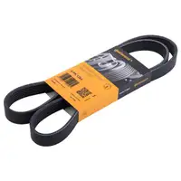CONTINENTAL CTAM 6PK1264 Keilrippenriemen