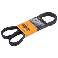 CONTINENTAL CTAM 6PK1380 Keilrippenriemen