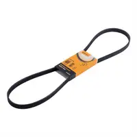 CONTINENTAL CTAM 5PK1300 Keilrippenriemen