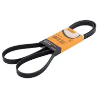 CONTINENTAL CTAM 5PK1720 Keilrippenriemen